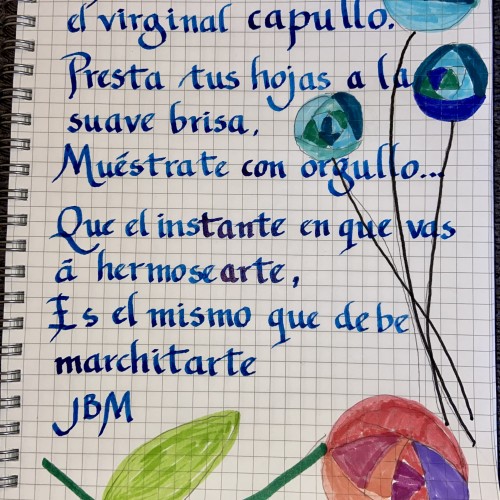 La Rosa #inktober2020