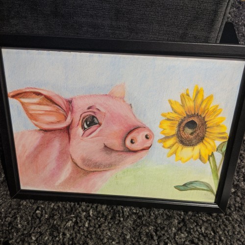Pig and sunflower