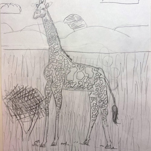 giraffe