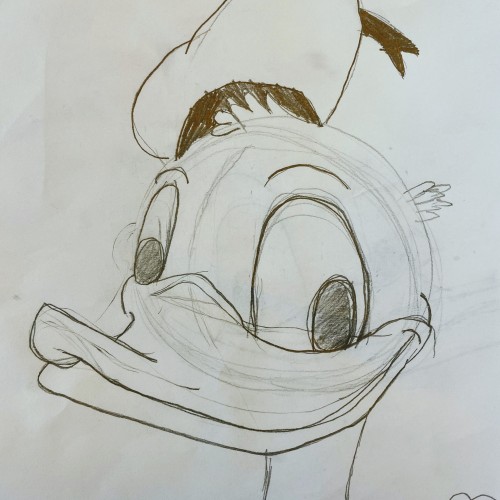 donald duck