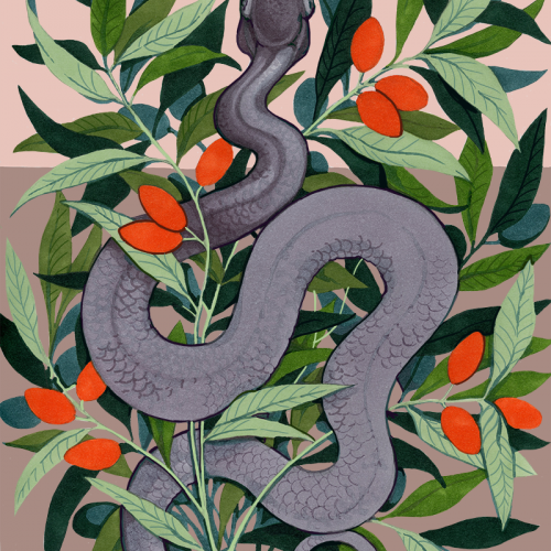 Snake in Olives