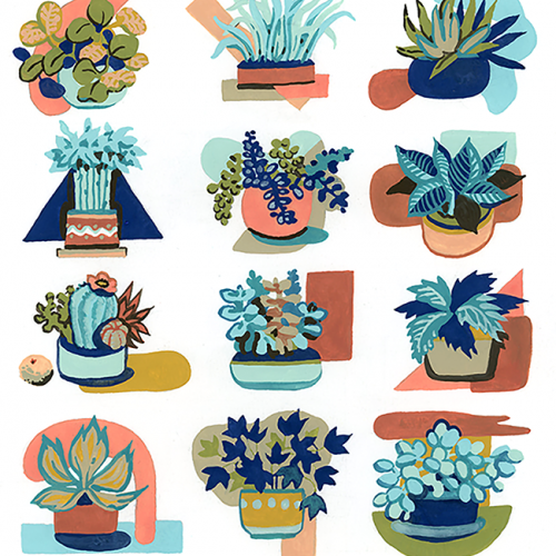 Summer Plants