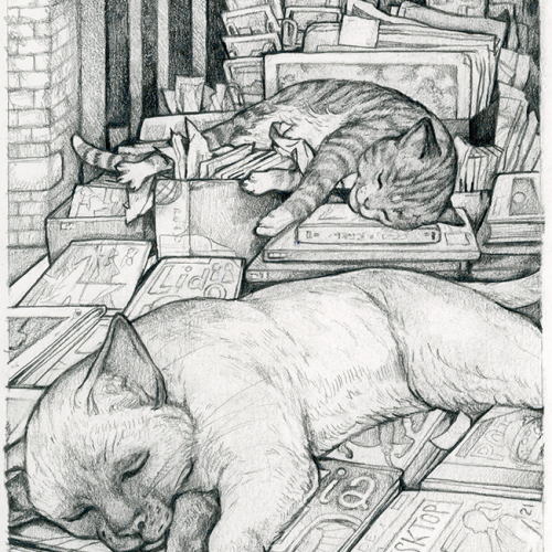 Bookshop Cats
