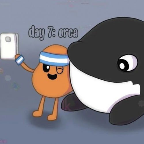 Maycean Day 7: orca
