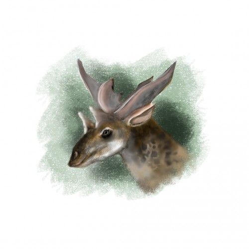 Sivatherium