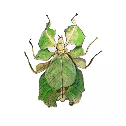 Leaf insect painting