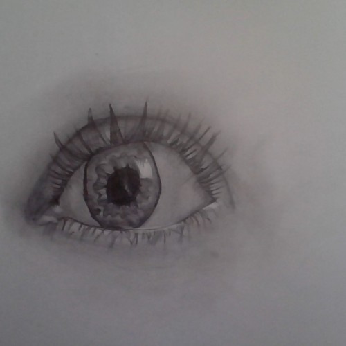 Eye