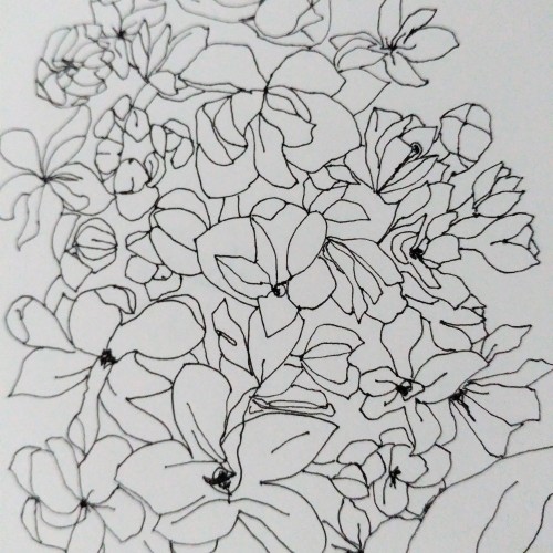 Lilac drawing