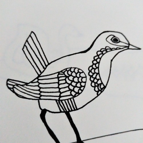 Bird