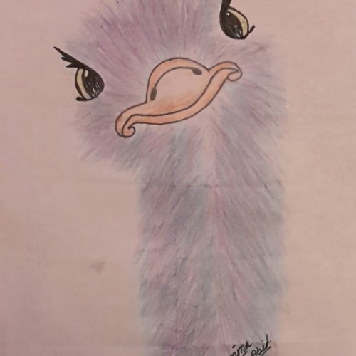 Ostrich