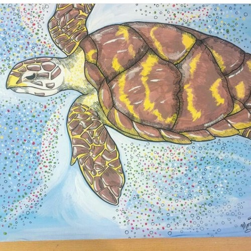 Sea Turtle