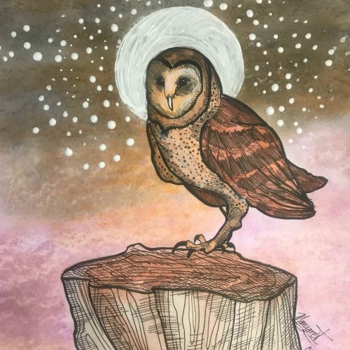 Owl version 2