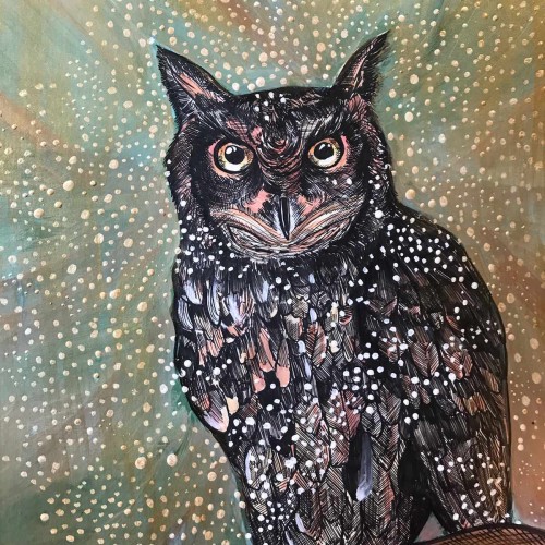 Full version Owl