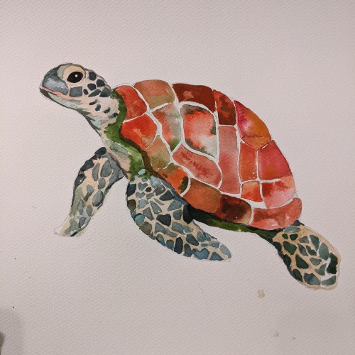 Sea Turtle