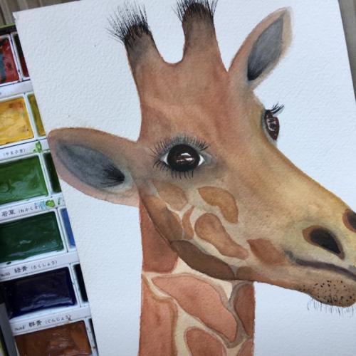 Giraffe