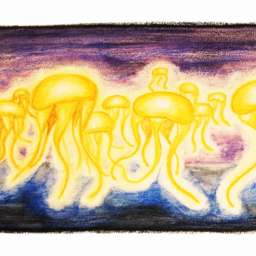 Jellyfish in a Dream
