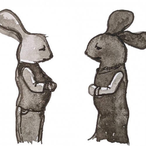 Rabbit couple