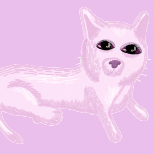 Pretty Pink Cat