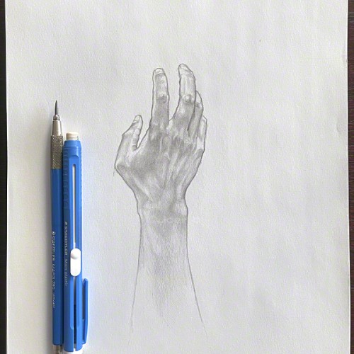 Hand Sketch