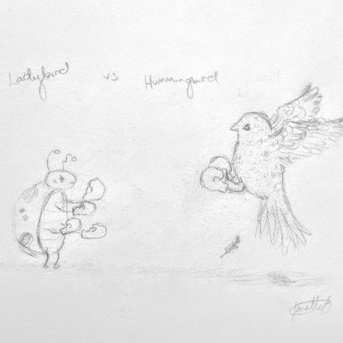 Ladybird vs Hummingbird