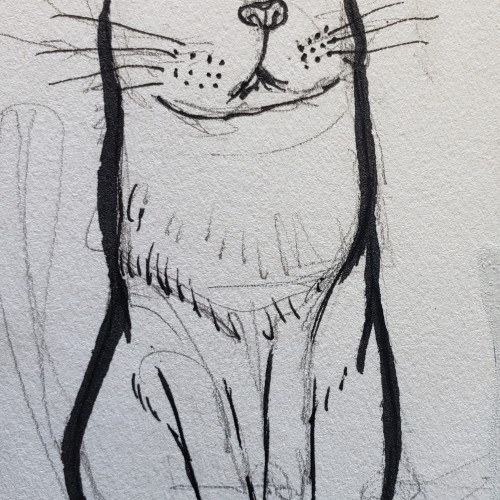 Kitty doodles