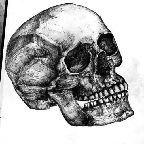 Basic skull made with ink