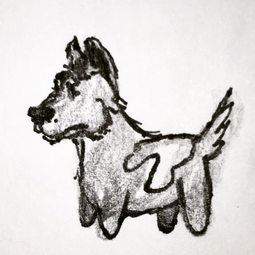 Corgi Doodle