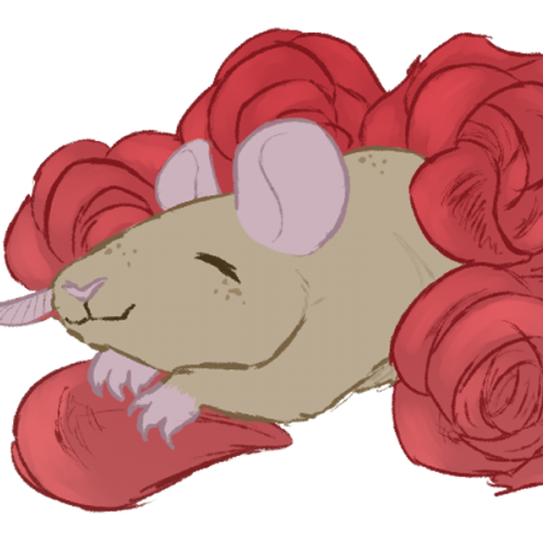 A rat among roses