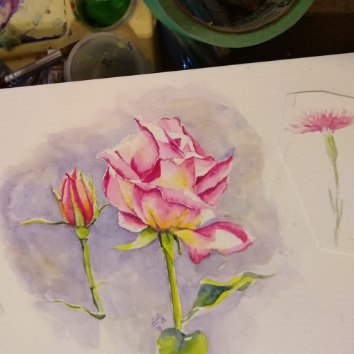 Watercolor sketchbook - rose