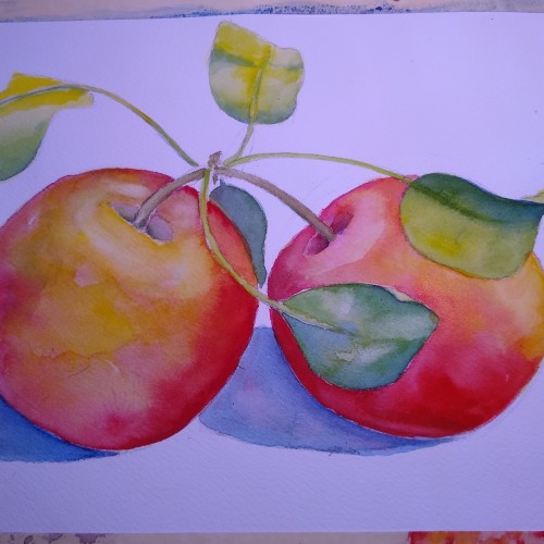 Two apples