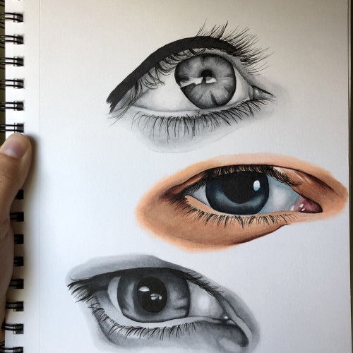 Eye Study