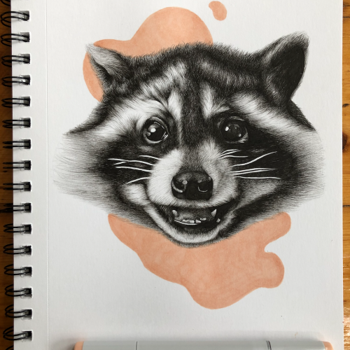 Raccoon