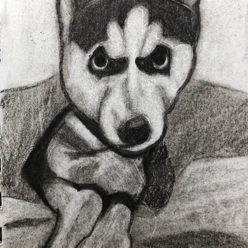 Husky