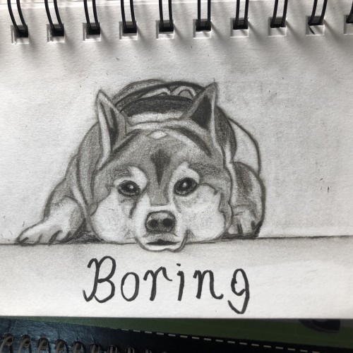 Boring