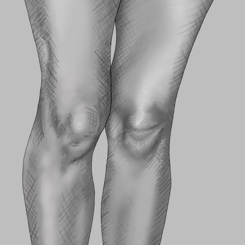 Leg Study