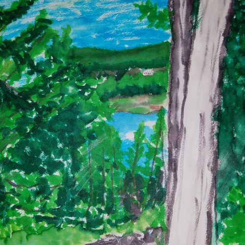 Watercolor Marker Test: Maine Woods