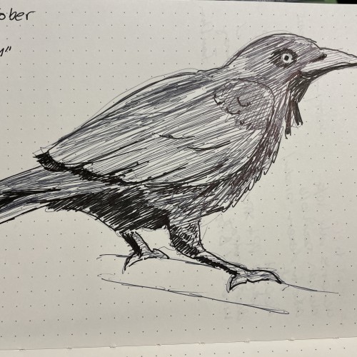 Inktober: Raven