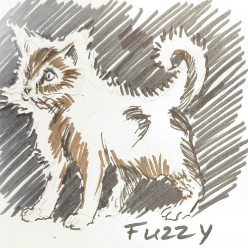 Fuzzy