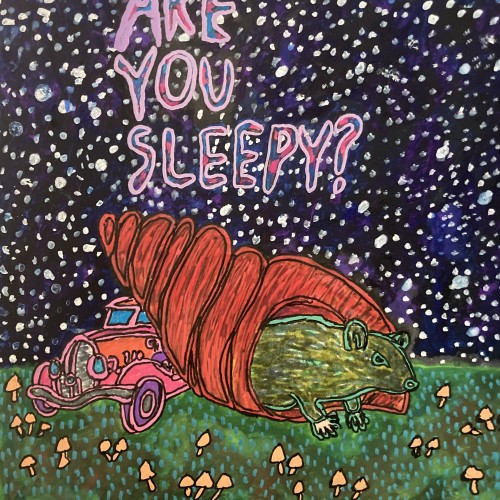 Are You Sleepy?
