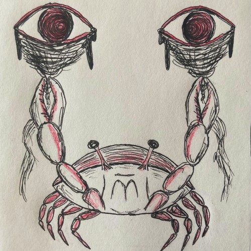 The Crab Sees You