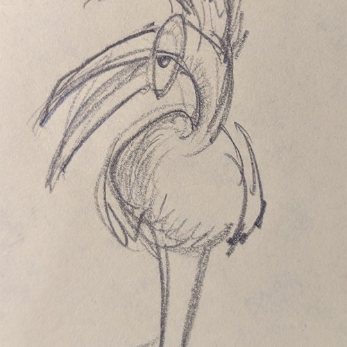 Doodle Bird