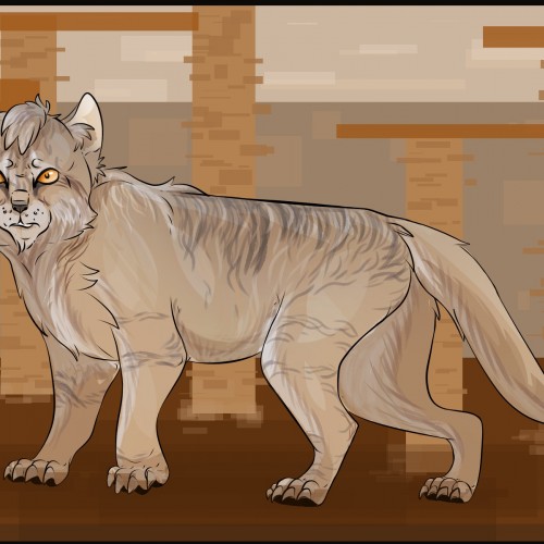Sand Cat