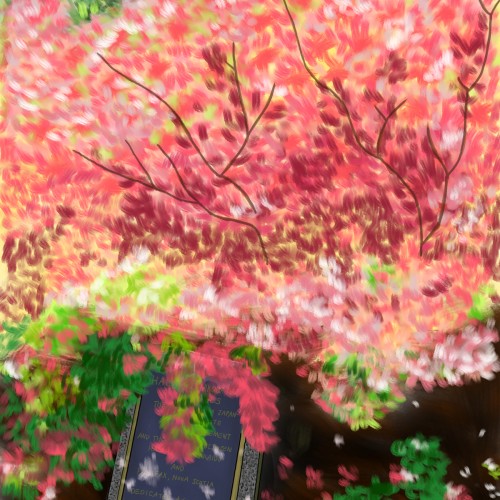 Cherry blossom tree in Halifax Public Gardens