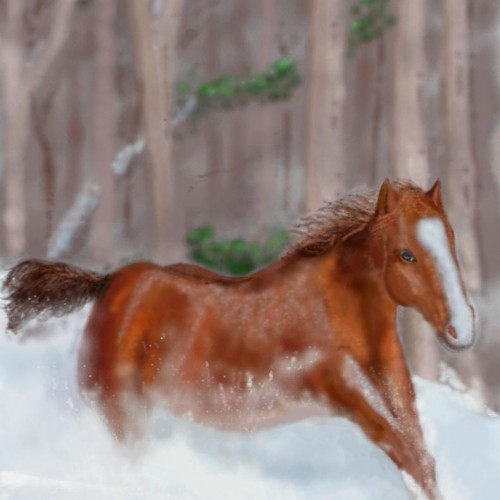 A Gallop in the Snow
