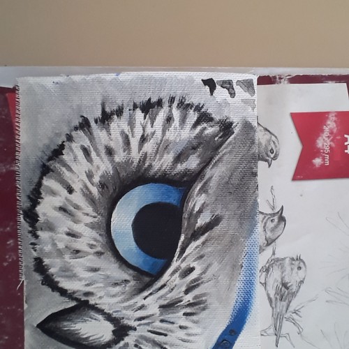 Owl