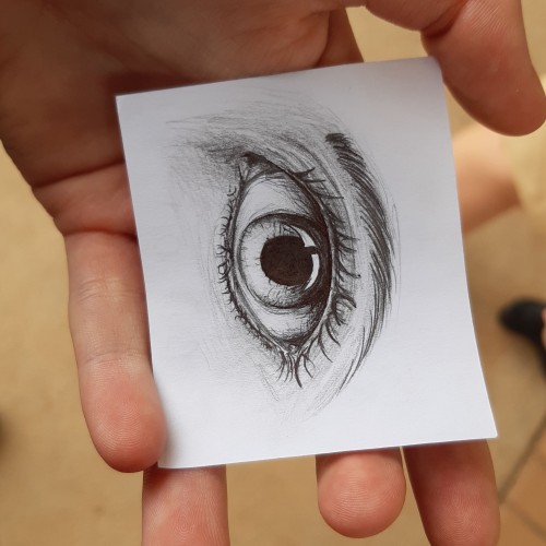 Eye