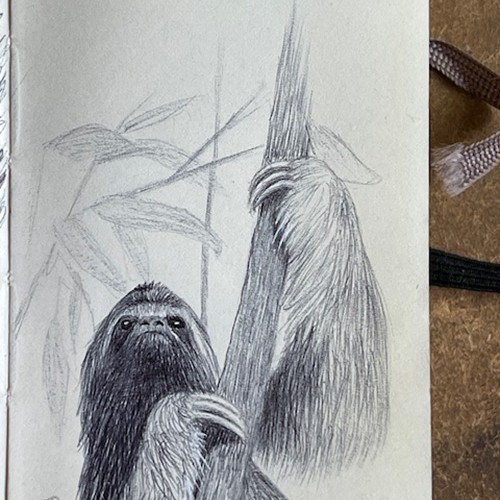 Inktober Day 12 Sloth