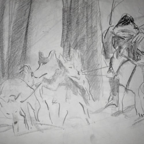 Sled Dogs Sketch
