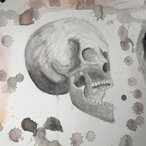 Skull watercolor