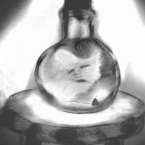 Spirit in a Bottle